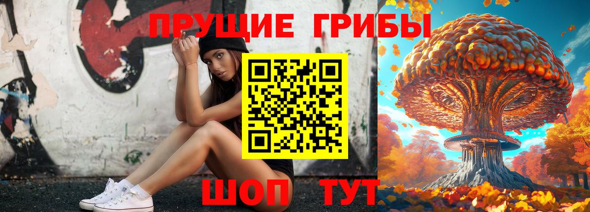 Псилоцибиновые грибы Cubensis Егорьевск
