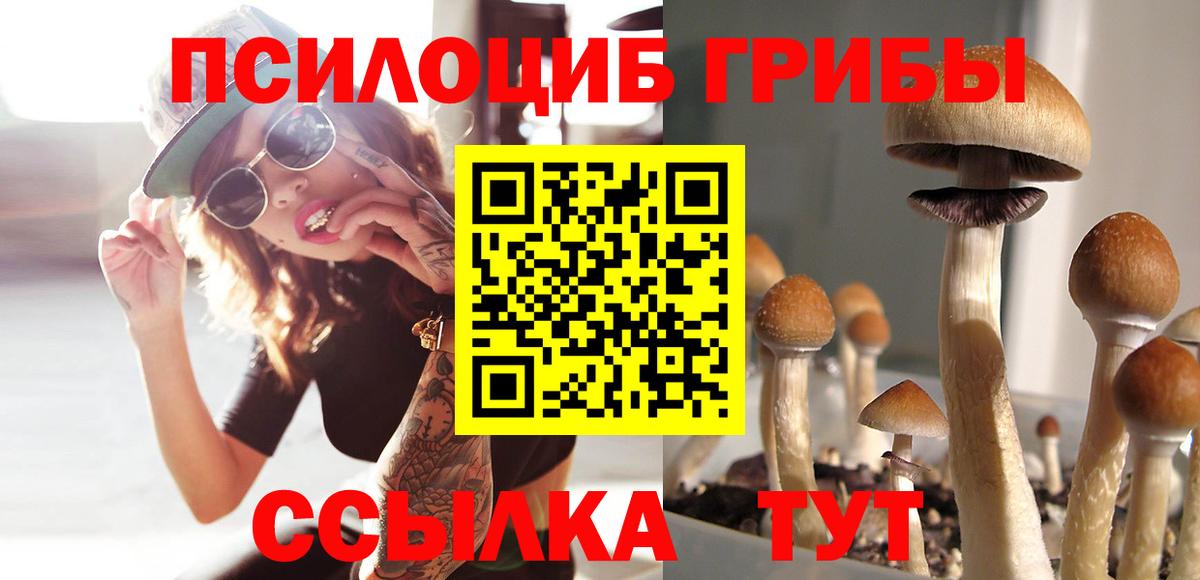 Егорьевск  Галлюциногенные грибы мухоморы  Вход с VPN 